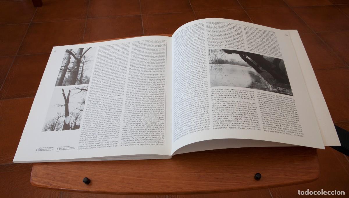 Libros de segunda mano: LOTUS INTERNATIONAL 31 - Foto 16