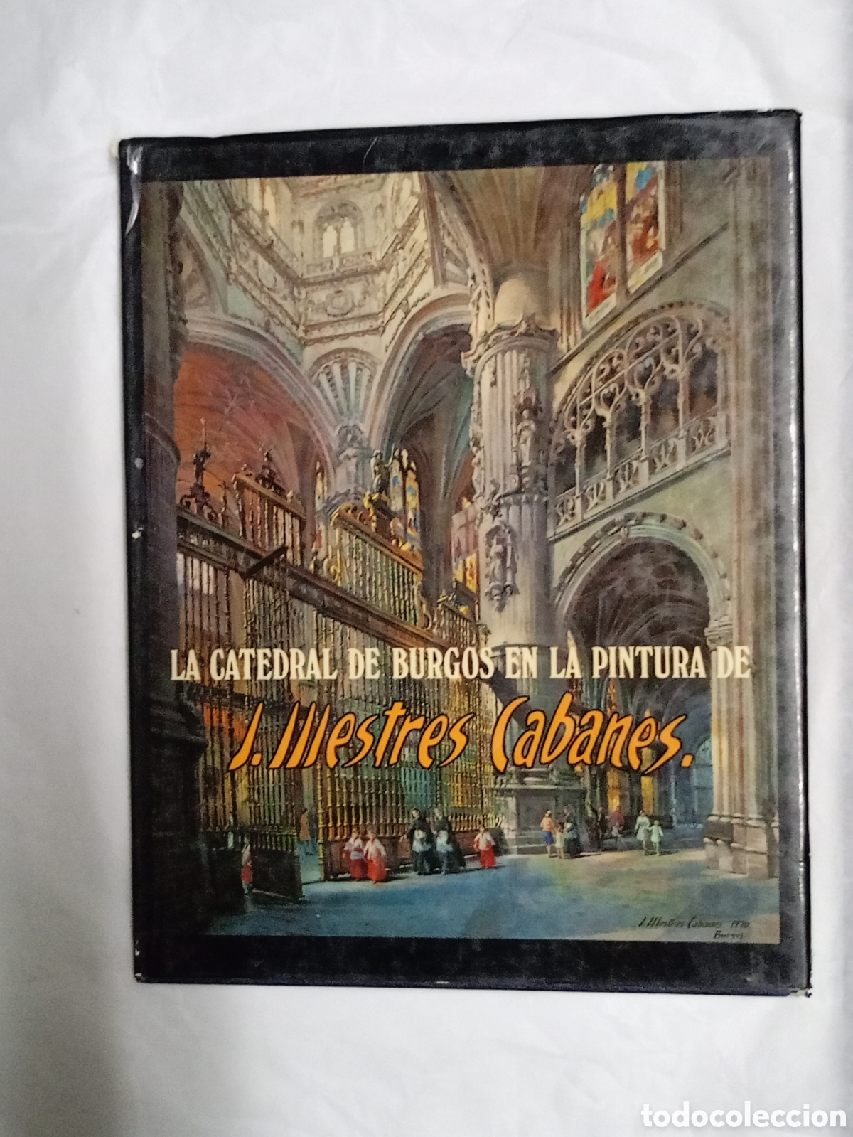 Libros de segunda mano: J. Mestres Cabanes, La catedral de Burgos en la pintura, Vitoria, 1981,