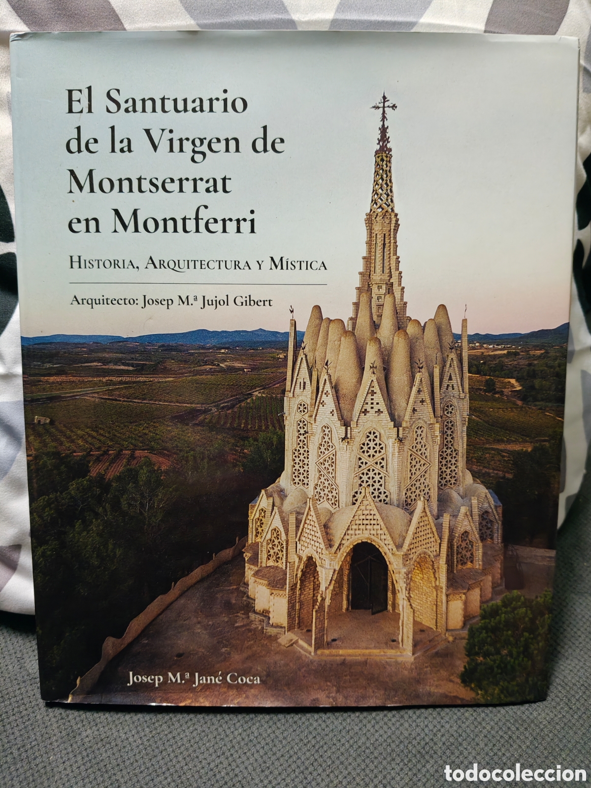 Libros de segunda mano: El Santuario de la virgen de Montserrat en Montferri, Josep M&deg; Jane Coca