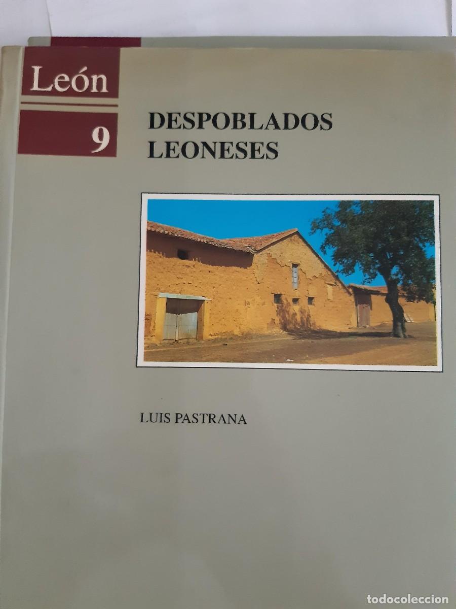 Libros de segunda mano: DESPOBLADOS LEONESES. Le&oacute;n Historia Demograf&iacute;a Poblaci&oacute;n Pueblos. Pastrana, Luis.