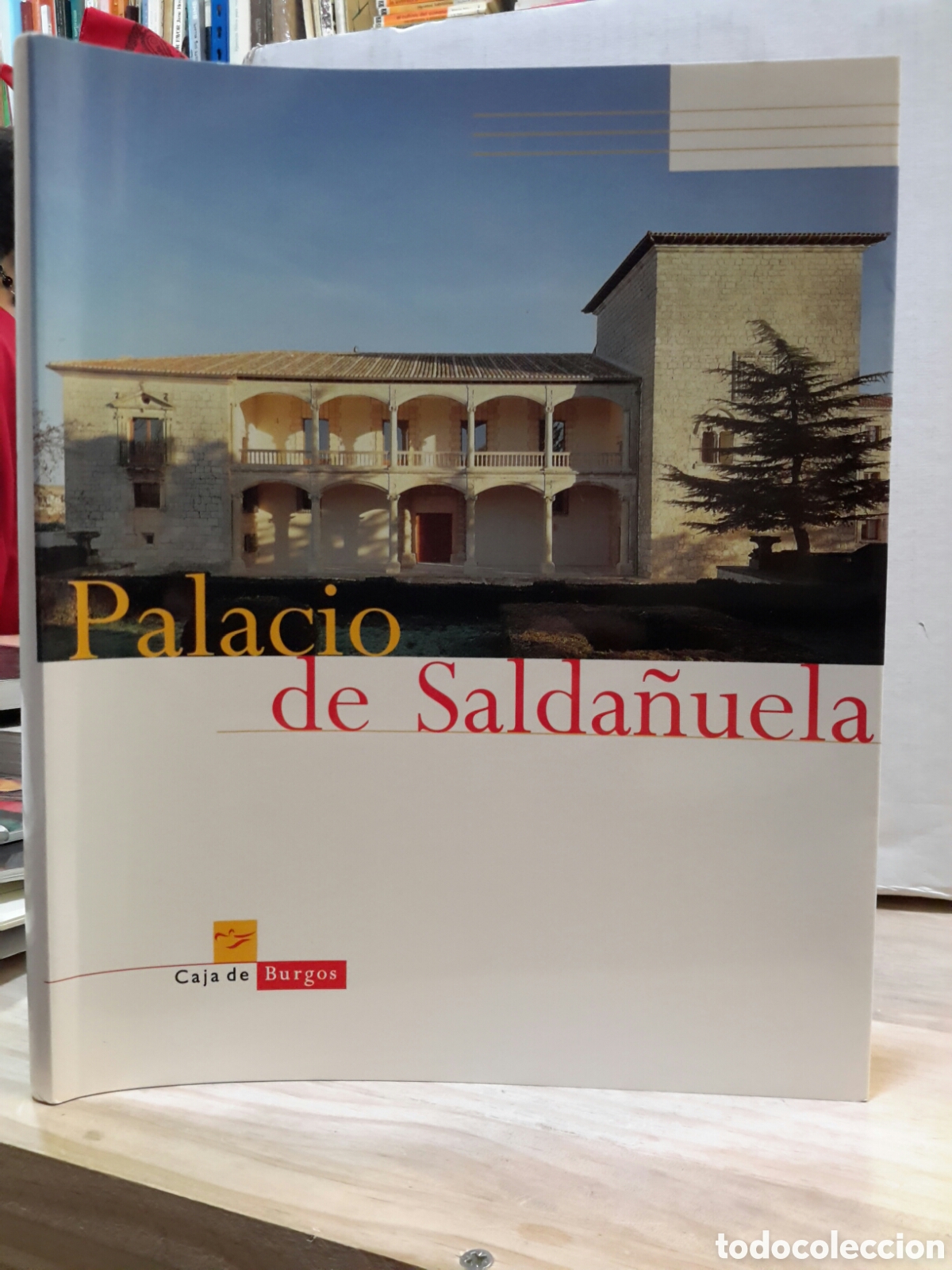 Libros de segunda mano: Palacio de Sada&ntilde;uela.