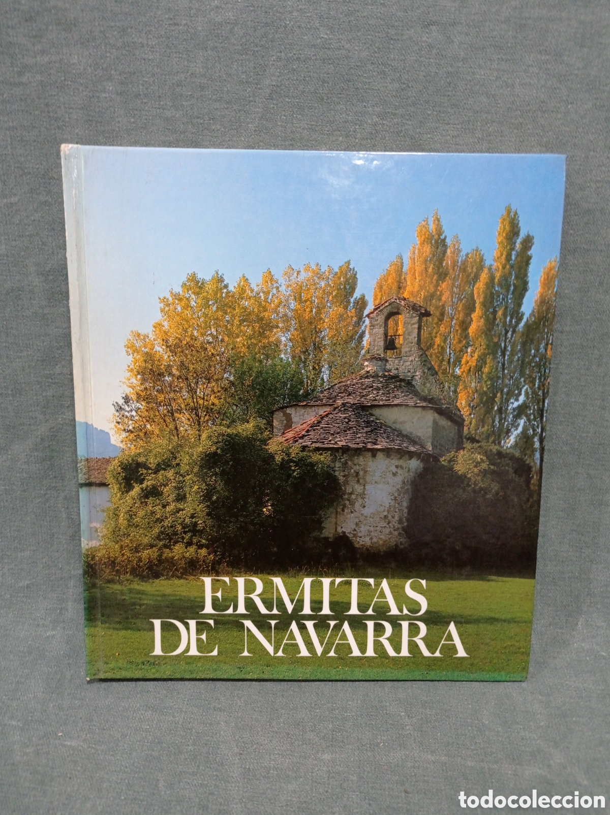 Libri di seconda mano: ERMITAS DE NAVARRA - FERNANDO P&Eacute;REZ OLLO