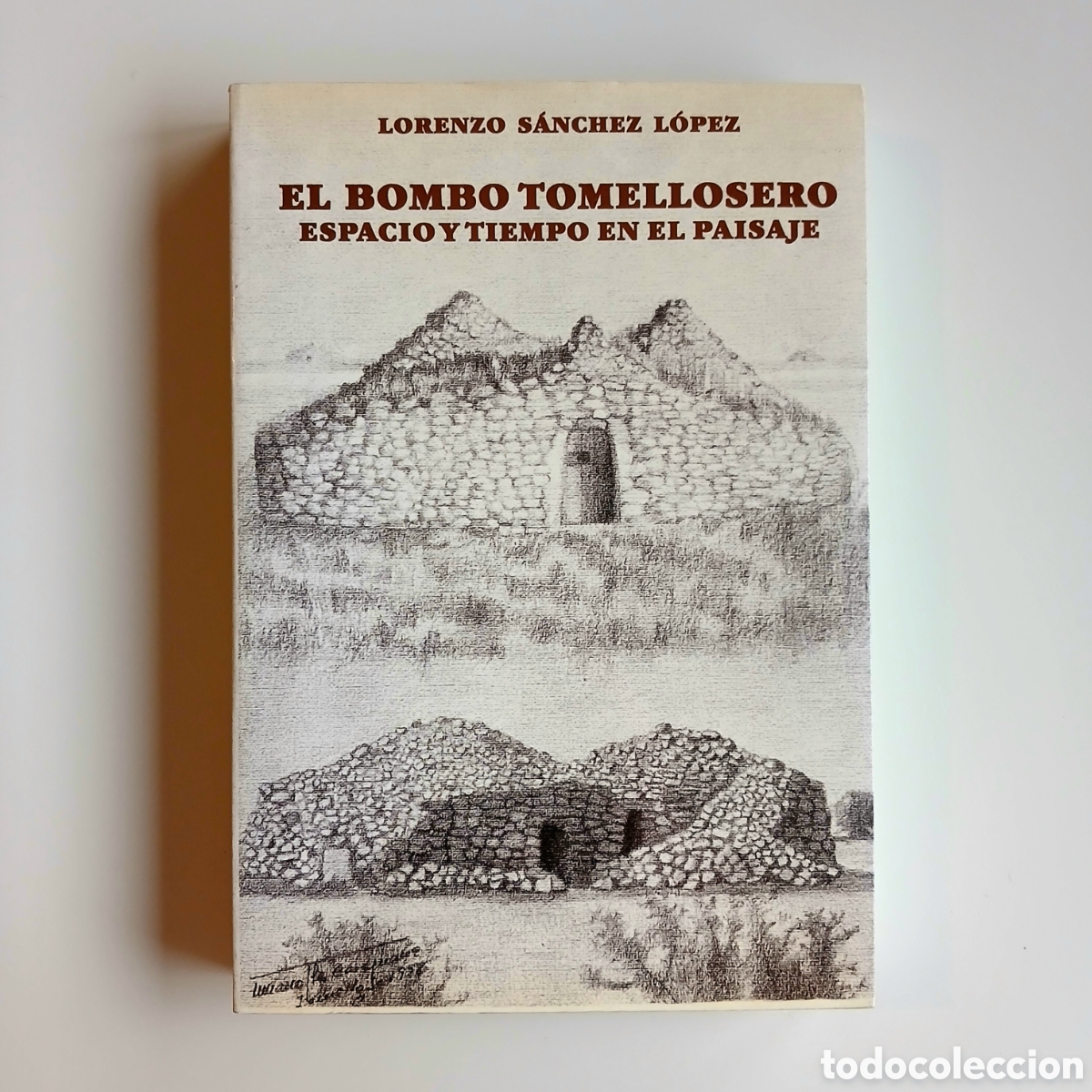 Libros de segunda mano: El bombo tomellosero: espacio y tiempo en el paisaje