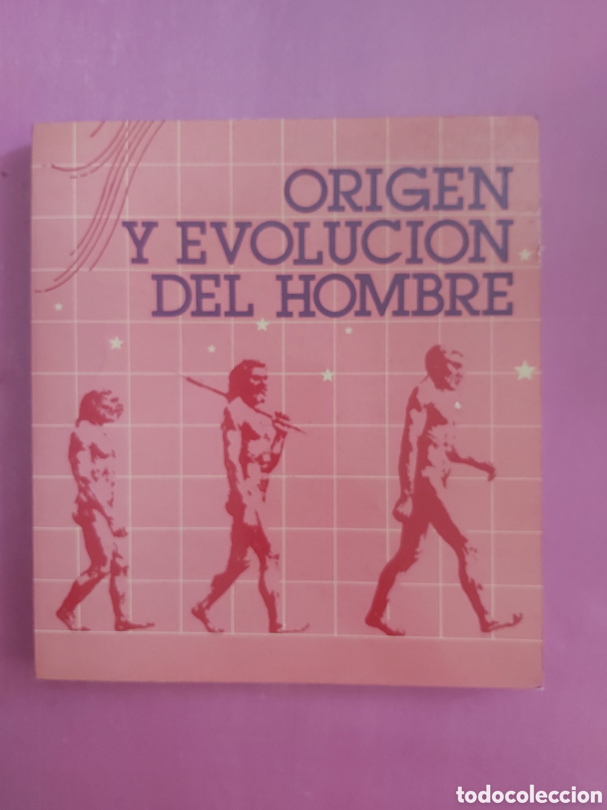 Libros de segunda mano: ORIGEN Y EVOLUCI&Oacute;N DEL HOMBRE MINISTERIO DE CULTURA ARQUEOLOG&Iacute;A BELLAS ARTES VVAA 1984