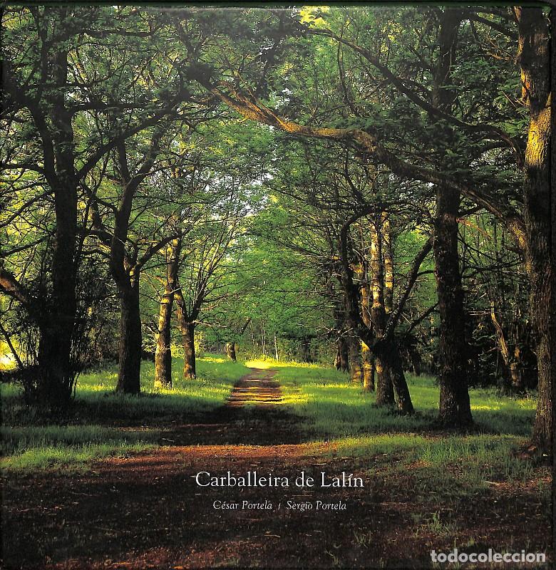 Libros de segunda mano: Carballeira de Lal&iacute;n - C&eacute;sar Portela y Sergio Portela - Xunta de Galicia, Conseller&iacute;a Vivenda e Solo