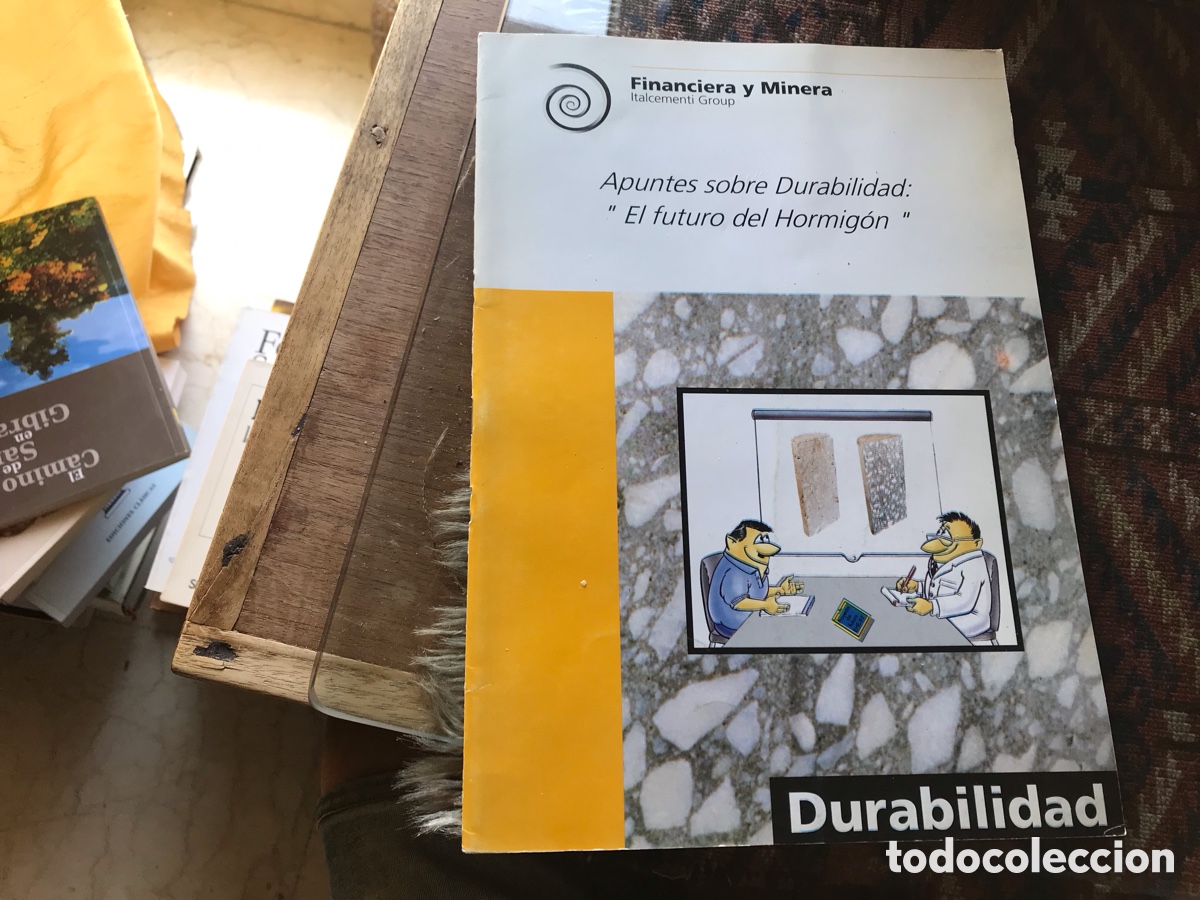 Libros de segunda mano: Apuntes Sobre durabilidad: el futuro del hormig&oacute;n.