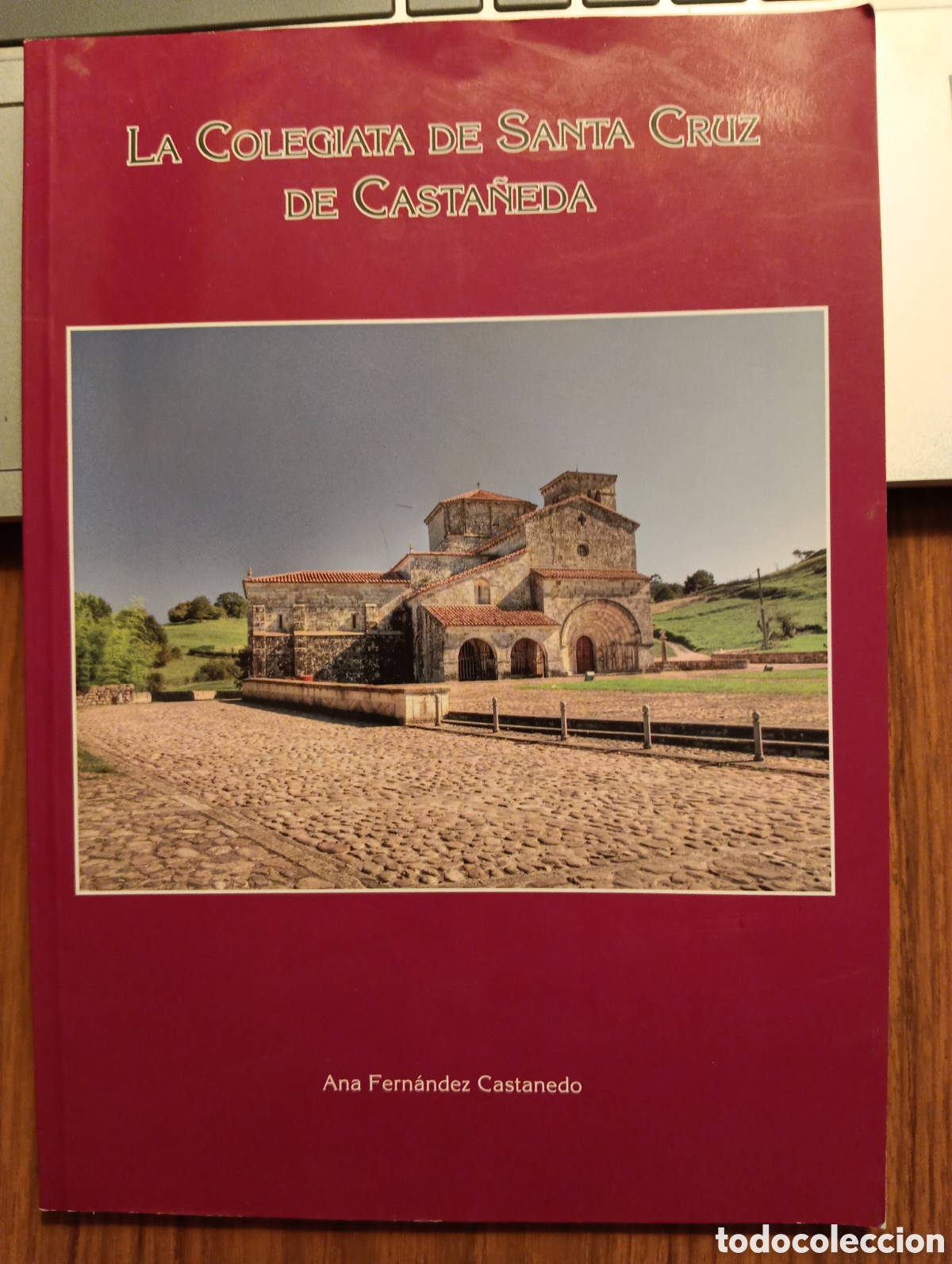 Libros de segunda mano: La colegiata de Santa Cruz de Casta&ntilde;eda, Ana Fern&aacute;ndez Castanedo