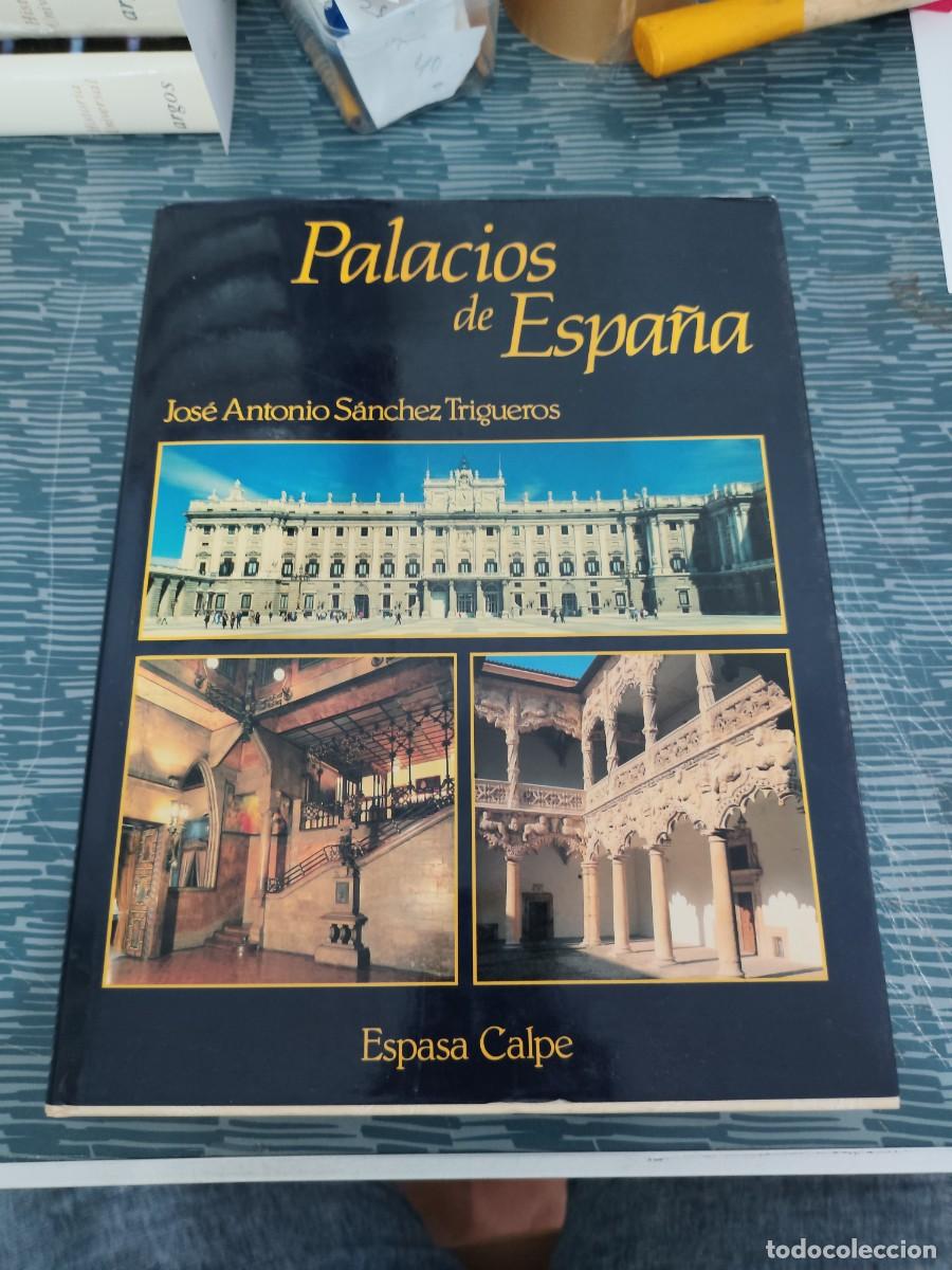 Libros de segunda mano: PALACIOS DE EUROPA,JOSE ANTONIO S&Aacute;NCHEZ TRIGUEROS,ESPASA CALPE, MADRID,1993,359 P&Aacute;GINAS.
