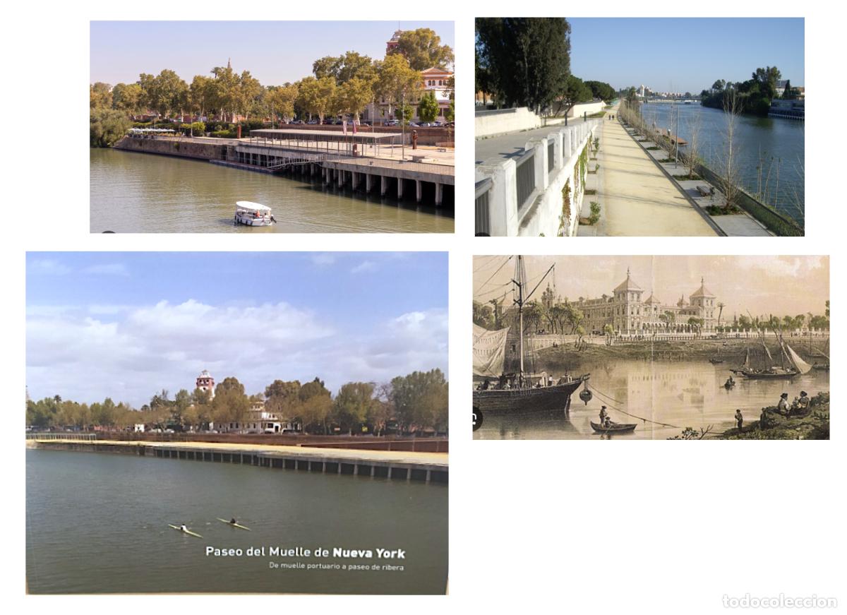 Libros de segunda mano: Paseo del Muelle de Nueva York. Sevilla (De muelle portuario a paseo de ribera) C&eacute;sar Portela, C. Ma