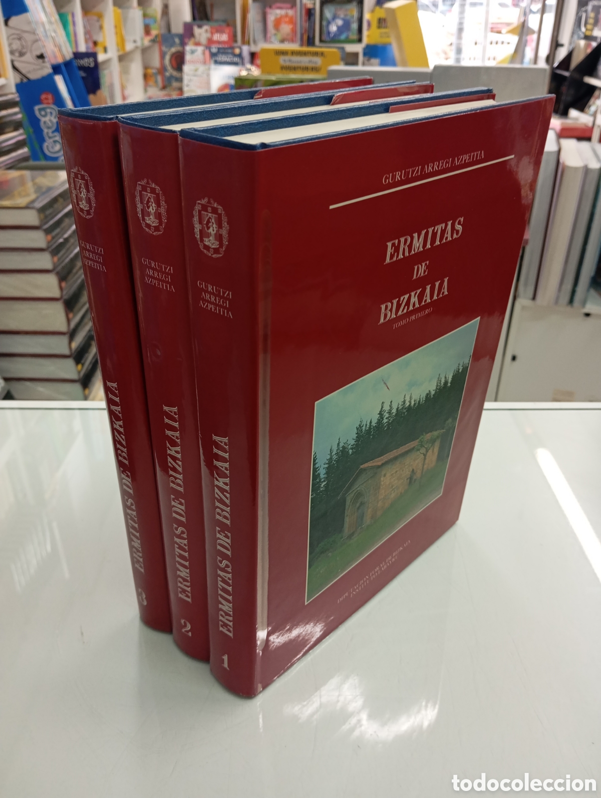 Libros de segunda mano: Ermitas de Bizkaia 3 TOMOS Arregi Azpeitia, Gurutzi OBRA COMPLETA DIPUTACION FORAL 1987 PAIS VASCO