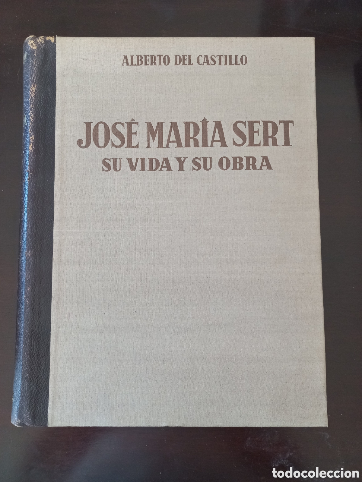 Libros de segunda mano: Jos&eacute; Maria Sert por Alberto su vida y su obra