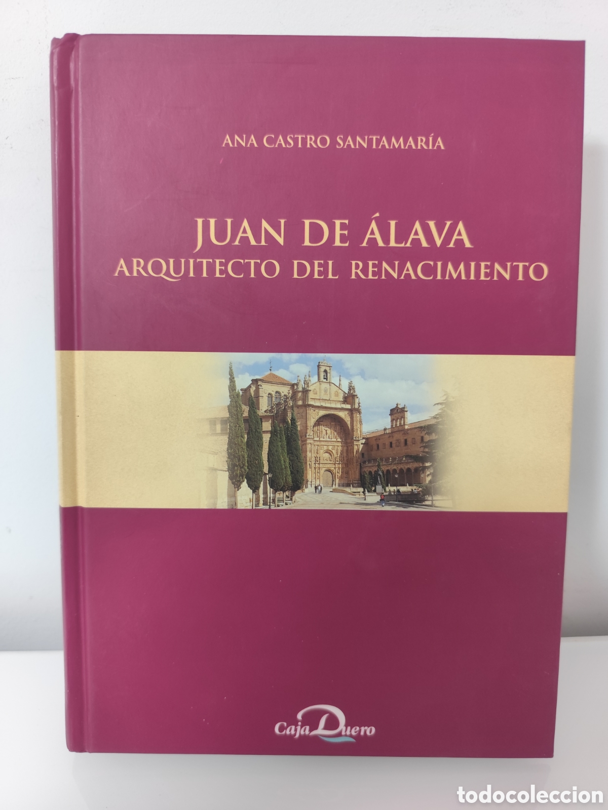 Libros de segunda mano: JUAN DE &Aacute;LAVA ARQUITECTO DEL RENACIMIENTO. ANA CASTRO SANTAMAR&Iacute;A.
