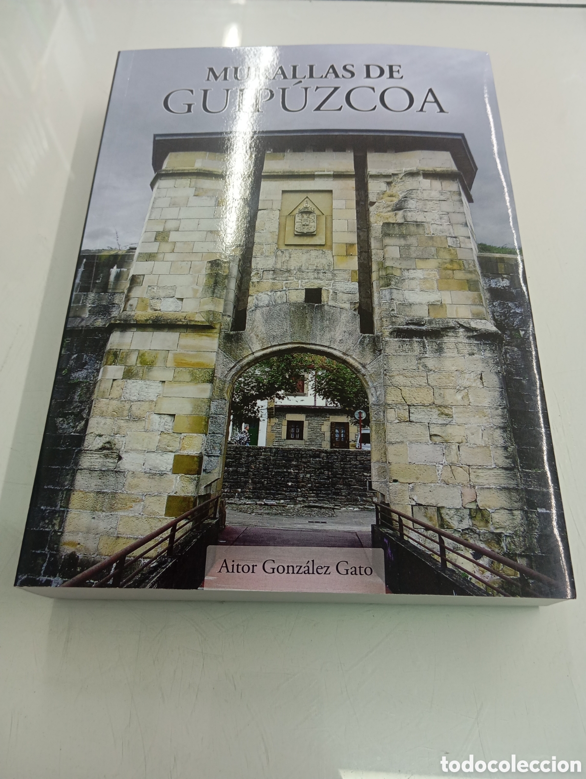 Libros de segunda mano: MURALLAS DE GUIPUZCOA AITOR GONZALEZ GATO 2022 MONUMENTAL ESTUDIO CERCAS MEDIEVALES PAIS VASCO NUEVO