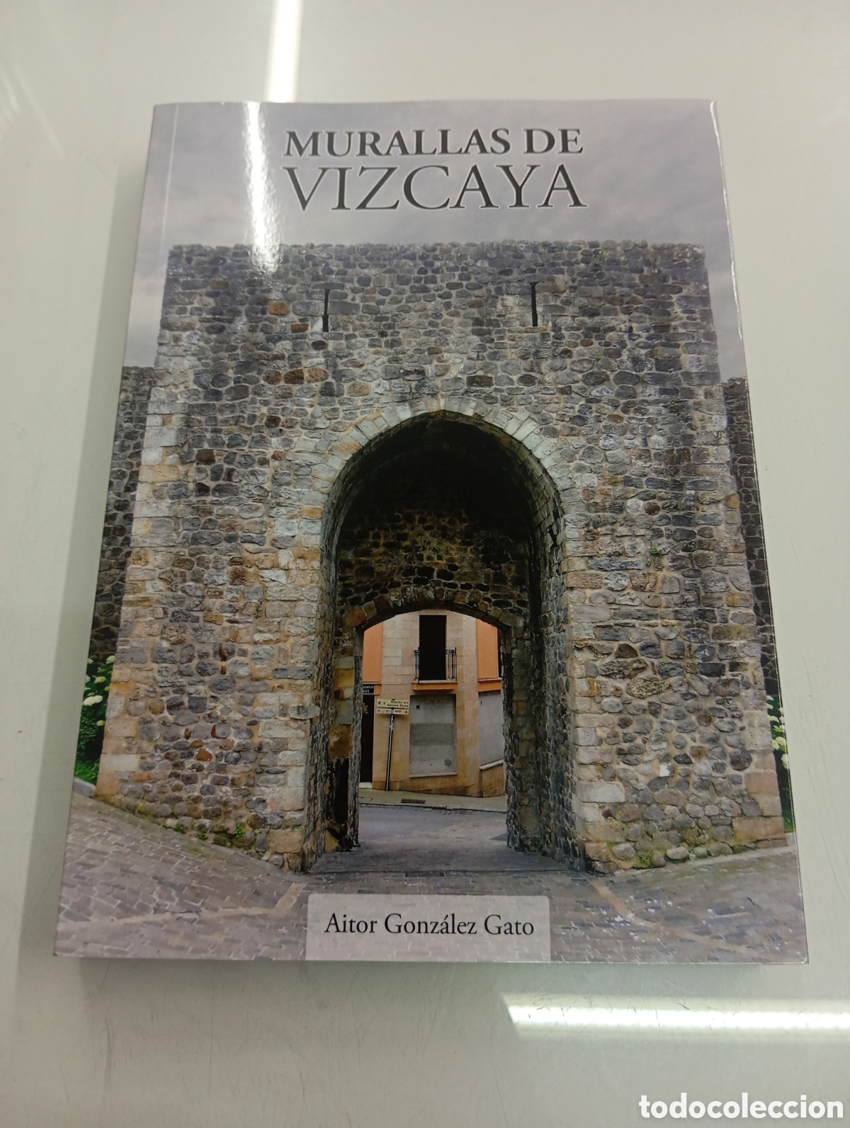 Libros de segunda mano: MURALLAS DE VIZCAYA AITOR GONZALEZ GATO 2021 MONUMENTAL ESTUDIO CERCAS MEDIEVALES PAIS VASCO NUEVO