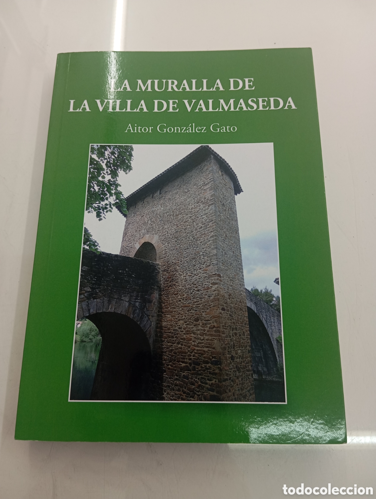 Libros de segunda mano: LA MURALLA DE LA VILLA DE VALMASEDA AITOR GONZALEZ GATO ESTUDIO CERCAS MEDIEVALES BALMASEDA VASCO