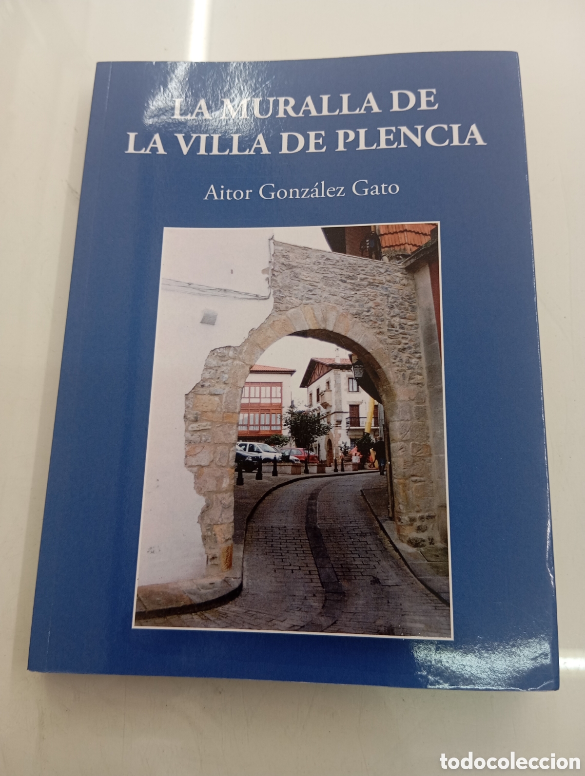 Libros de segunda mano: LA MURALLA DE LA VILLA DE PLENCIA AITOR GONZALEZ GATO ESTUDIO CERCAS MEDIEVALES PAIS VASCO