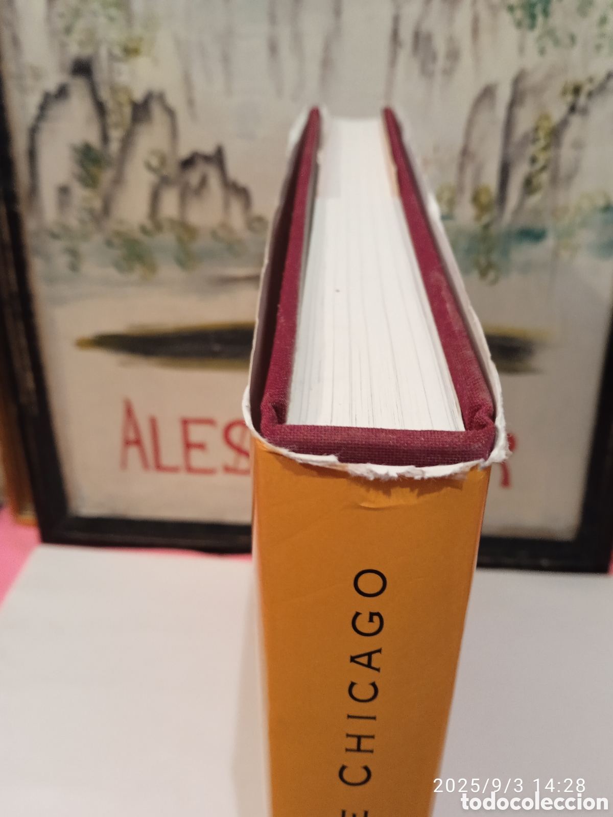 Libros de segunda mano: La m&iacute;tica construcci&oacute;n de Chicago - Foto 6