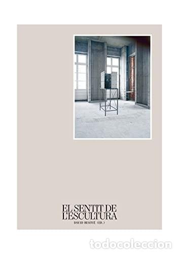 Libros de segunda mano: El sentit de l&acute;escultura (SIN COLECCION) Edici&oacute;n en Catal&aacute;n de David Bestu&eacute; (Colaborador) Formato: