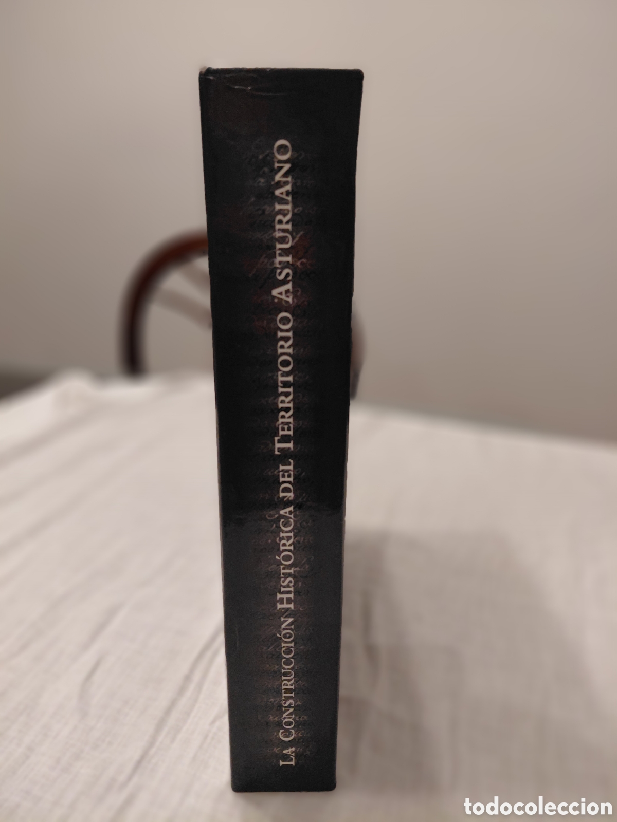 Libros de segunda mano: LA CONSTRUCCI&Oacute;N HIST&Oacute;RICA DEL TERRITORIO ASTURIANO.JOS&Eacute; RAM&Oacute;N MEN&Eacute;NDEZ DE LUARCA / CARMEN