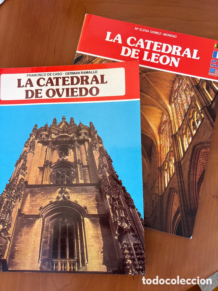 Libros de segunda mano: La catedral de Le&oacute;n / La catedral de Oviedo