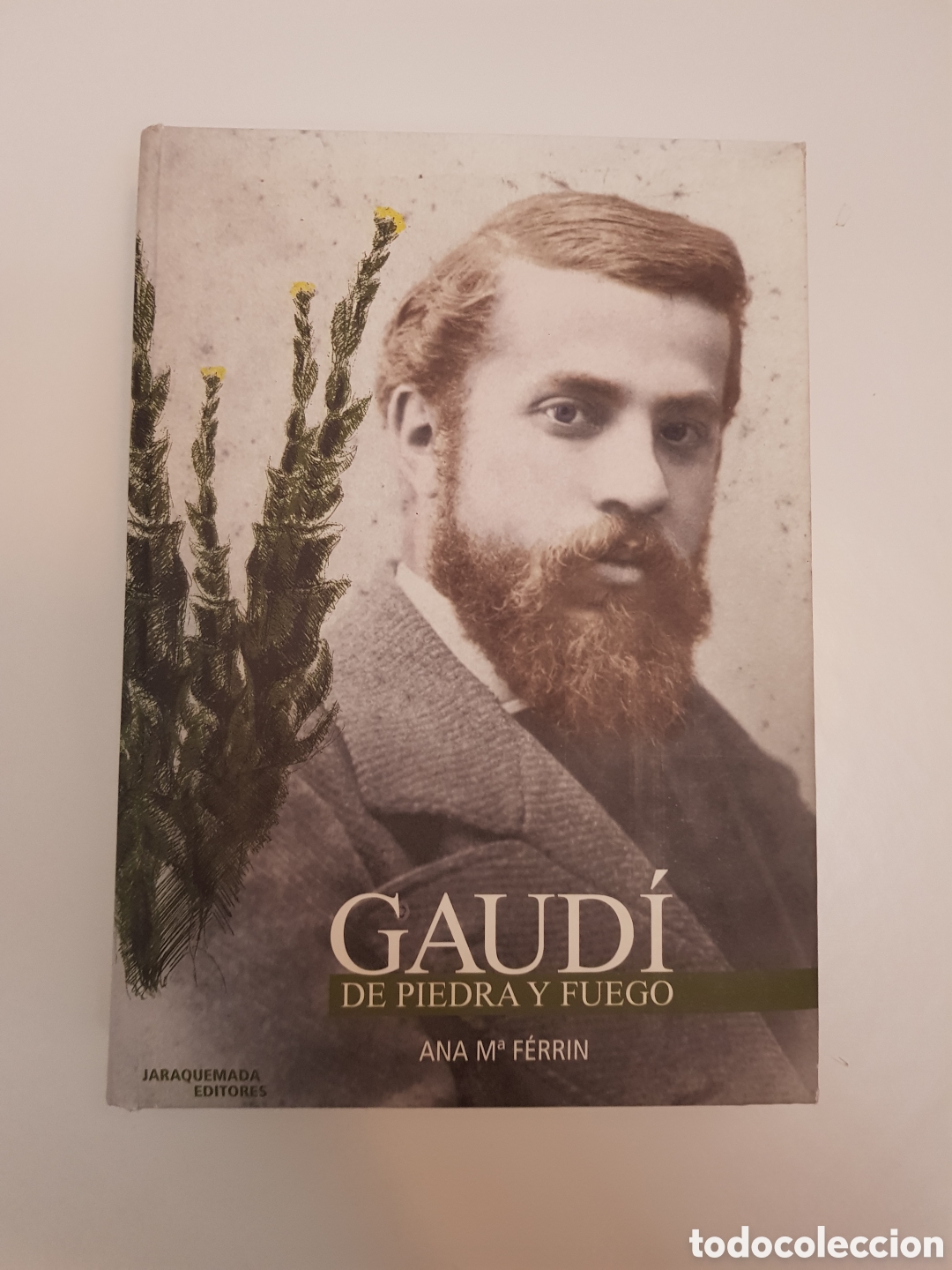 Libros de segunda mano: Gaud&iacute;, de piedra y fuego.- Ferrin, Ana Mar&iacute;a