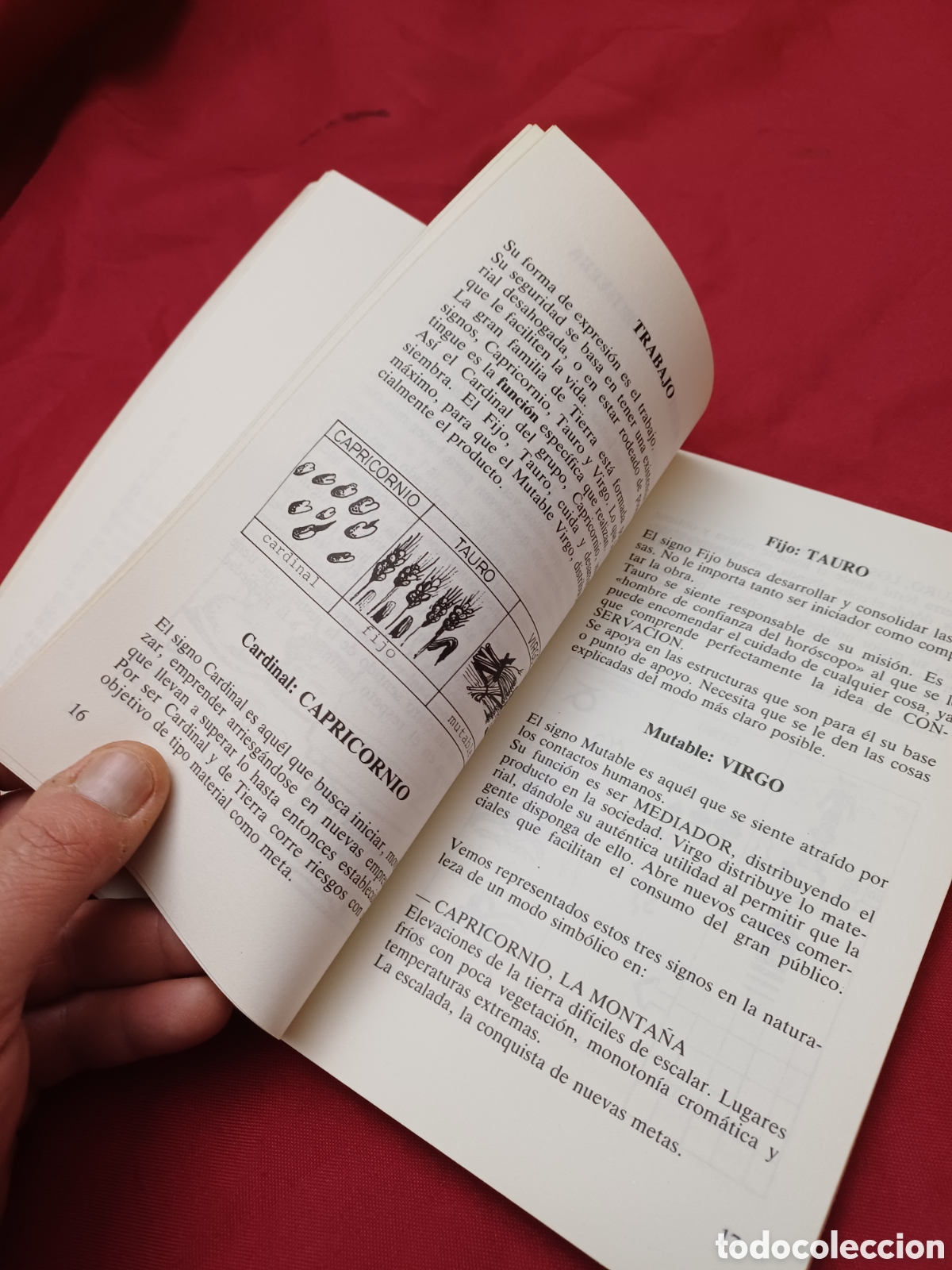 Libros de segunda mano: LIBRO, SOPA DE SIGNOS, 1986 - Foto 4