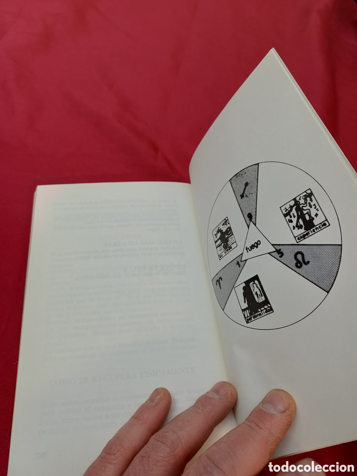 Libros de segunda mano: LIBRO, SOPA DE SIGNOS, 1986 - Foto 7