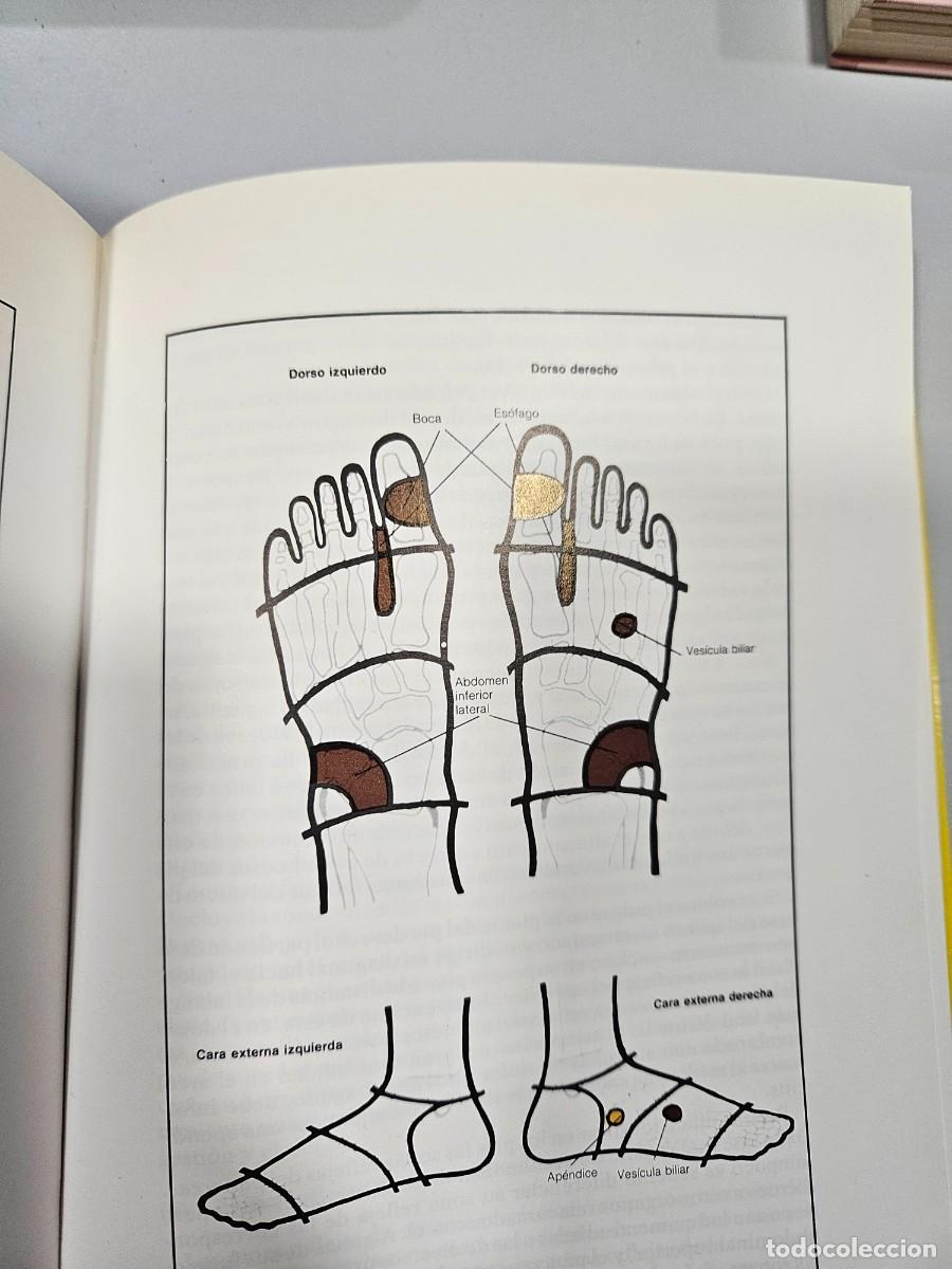 Libros de segunda mano: TERAPIA DE LAS ZONAS REFLEJAS DE LOS PIES - Foto 3