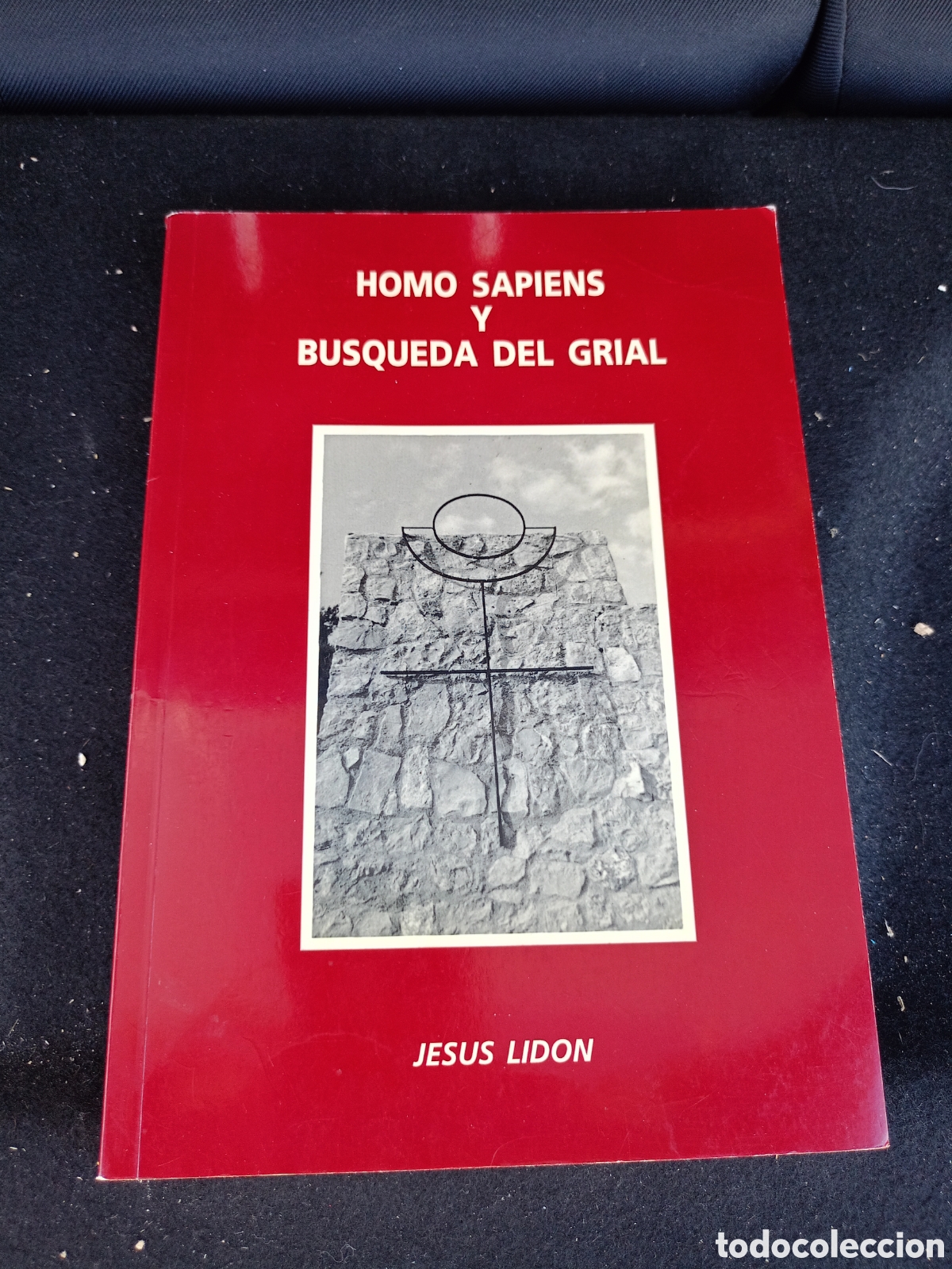 Libros de segunda mano: HOMO SAPIENS Y BUSQUEDA DEL GRIAL. JES&Uacute;S LID&Oacute;N CAMPILLO
