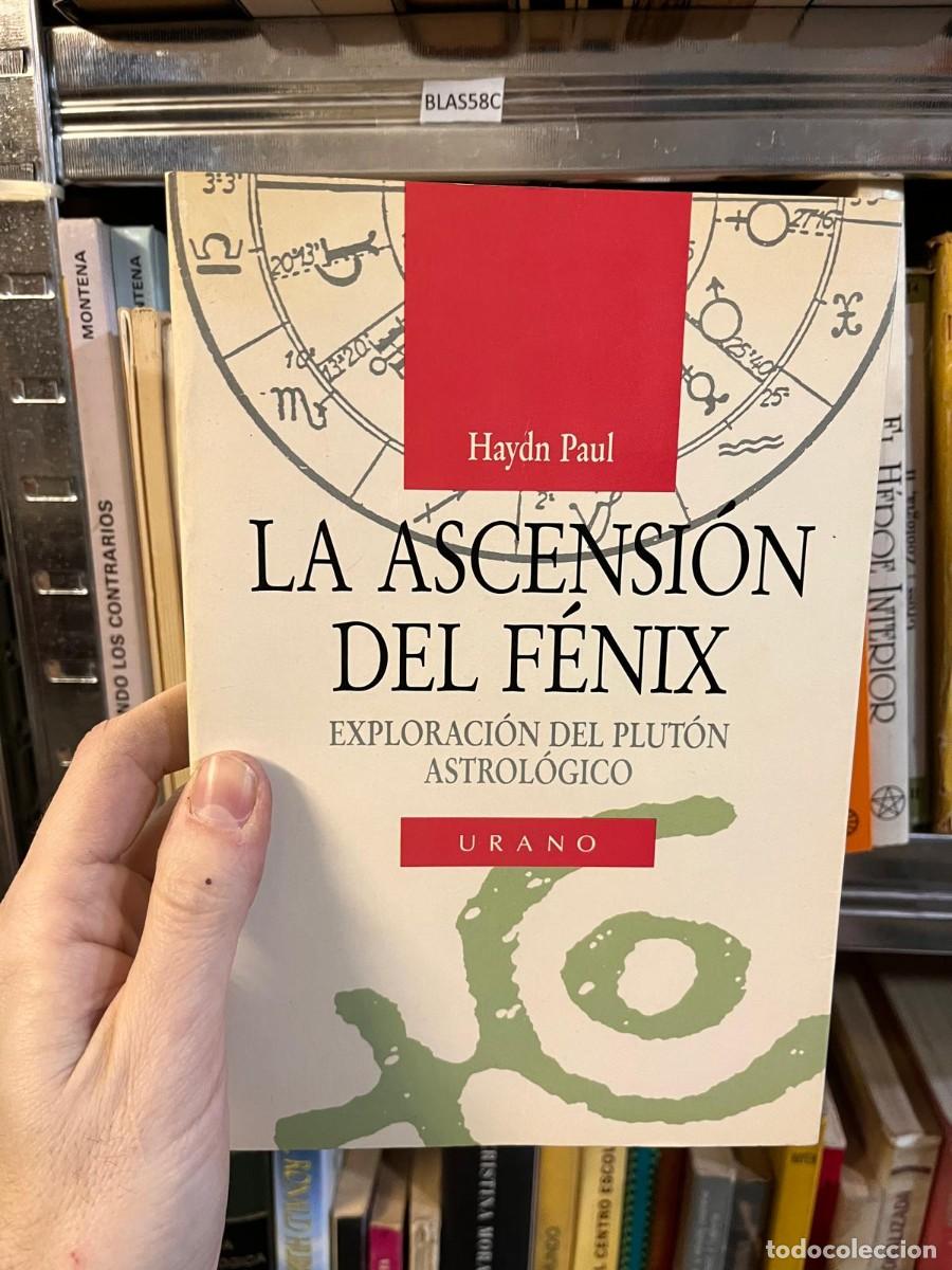 Libros de segunda mano: BLAS58C Haydn Paul LA ASCENSION DEL F&Eacute;NIX EXPLORACI&Oacute;N DEL PLUT&Oacute;N ASTROL&Oacute;GICO URANO