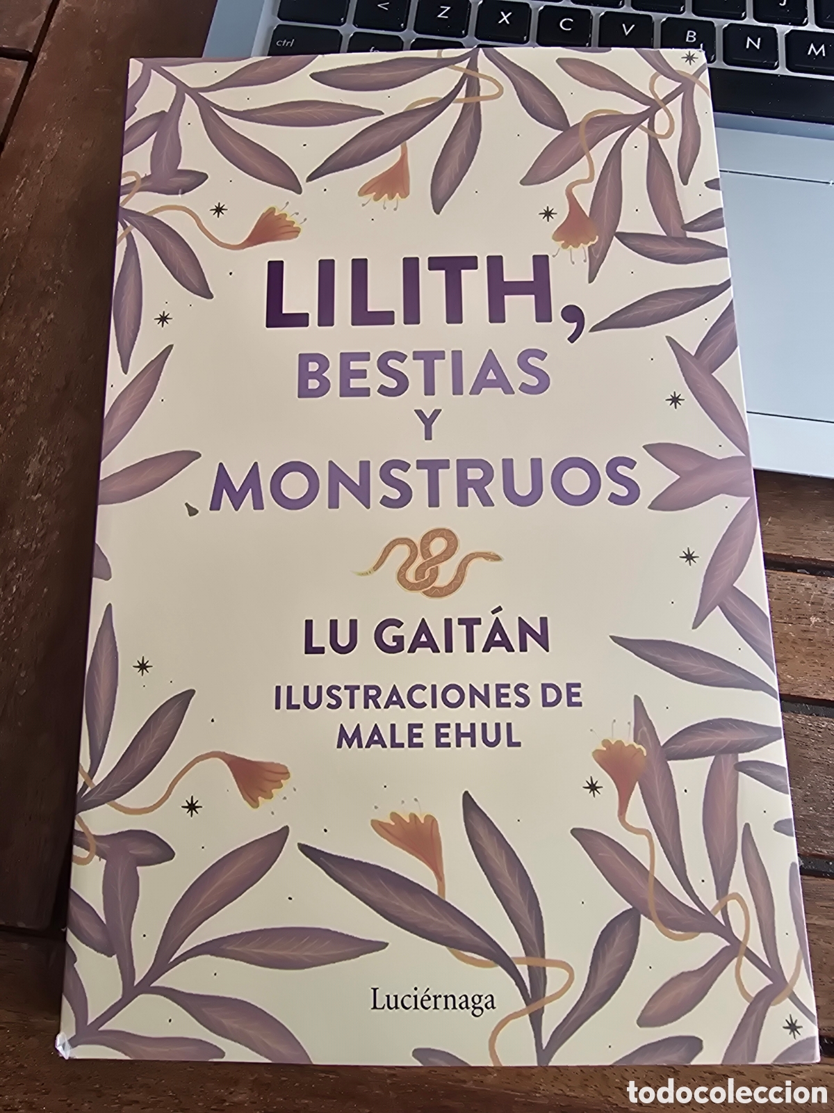 Libros de segunda mano: Lilith. Bestias y monstruos Gait&aacute;n, Lu Editorial LUCIERNAGA 2024 esoterismo astrologia mitos