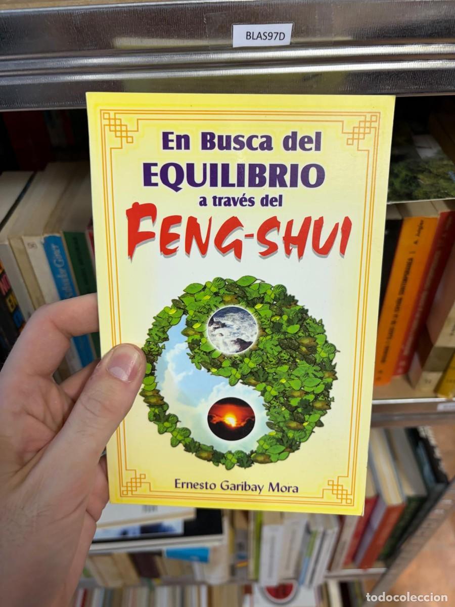 Libros de segunda mano: BLAS97D En busca del equilibrio a trav&eacute;s del Feng-Shui &mdash; Ernesto Garibay Mora &mdash; Tomo