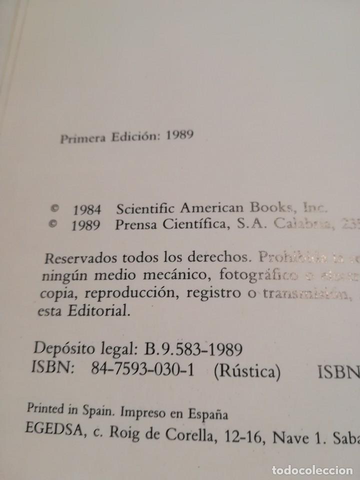 Libros de segunda mano: Construcci&oacute;n del Universo - David Layzer - 1&ordf; edici&oacute;n 1989 - Foto 3