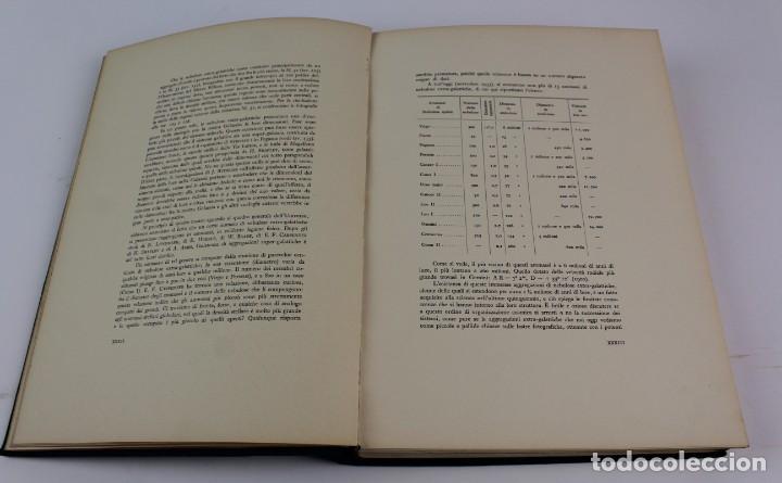 Libros de segunda mano: L- 248. IL CIELO E LE SUE MERAVIGLIE. PIO EMANUELLI. 1934. ESCRITO EN ITALIANO. - Foto 6 - 159610098