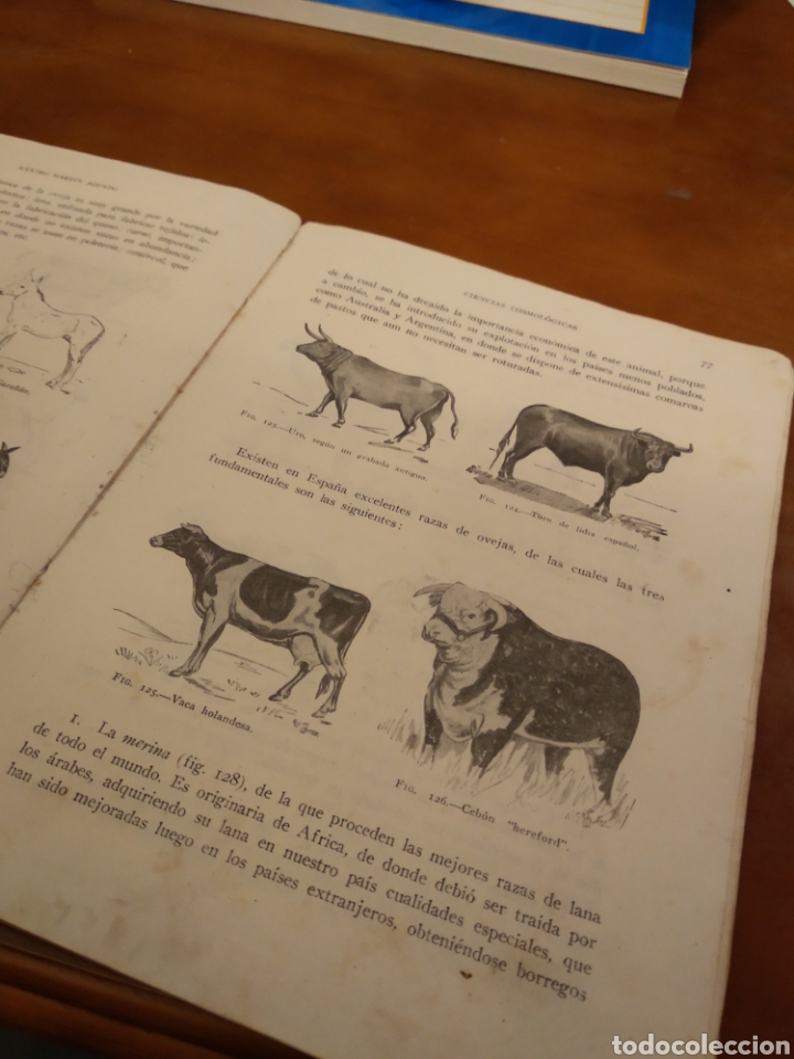 Libros de segunda mano: CIENCIAS COSMOL&Oacute;GICAS. M&Aacute;XIMO MARTIN AGUADO #3838 - Foto 6