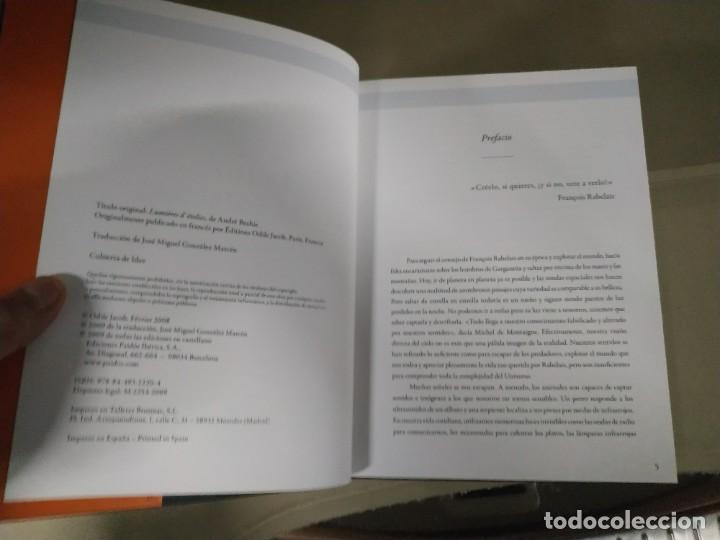 Libros de segunda mano: Luces de Estrellas. Los Colores de lo Invisible - Brahic / Grenier - Foto 4