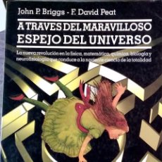 Libros de segunda mano: A TRAVÉS DEL MARAVILLOSO ESPEJO DEL UNIVERSO - J.P. BRIGGS; F.D. PEAT