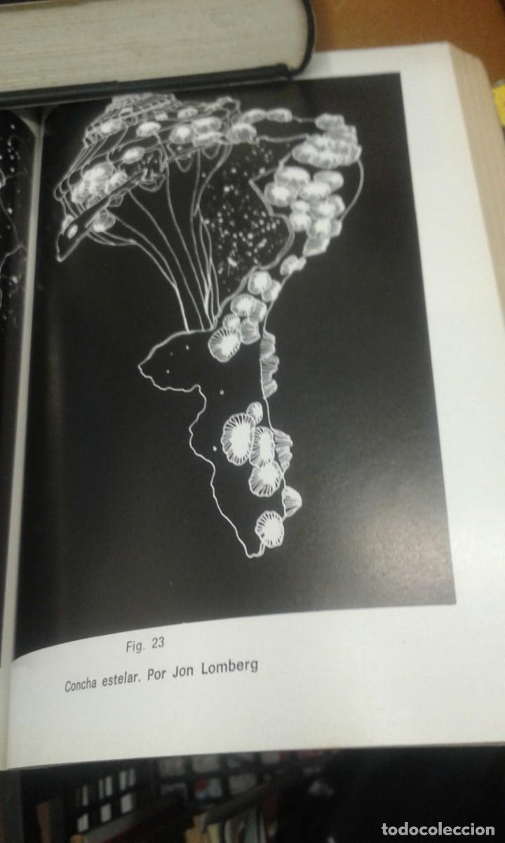 Libros de segunda mano: CONEXION COSMICA CARL SAGAN - Foto 2