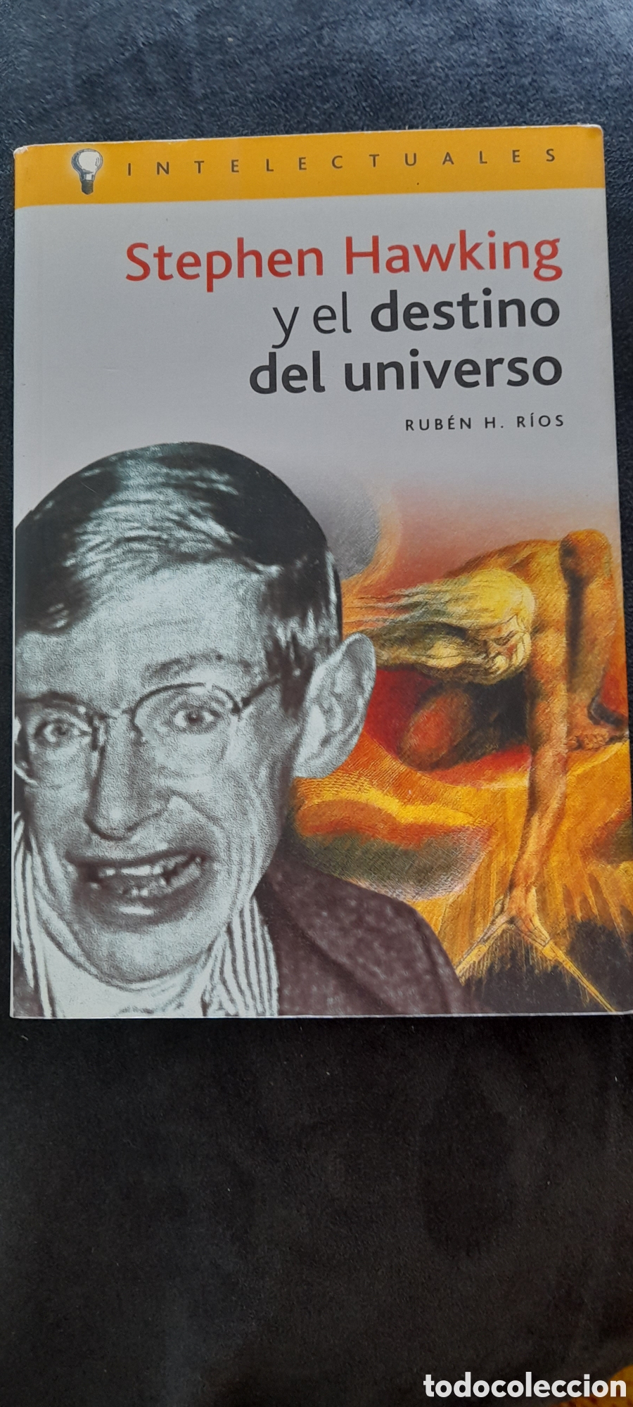 Libros de segunda mano: Stephen Hawking y el destino del universo. Rub&eacute;n H. Rios