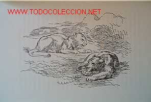 Libros de segunda mano:   - Foto 3