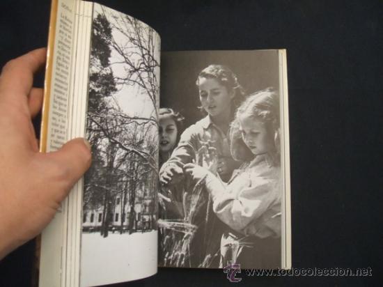 Libros de segunda mano: DO&Ntilde;A SOFIA - JOSE LUIS HERRERA - 1984 - CIRCULO DE LECTORES - - Foto 3