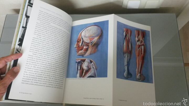 Libros de segunda mano: CAJAL LA ESPA&Ntilde;A UNIVERSAL ACCENTURE 2010 - Foto 6