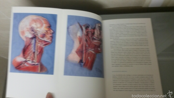 Libros de segunda mano: CAJAL LA ESPA&Ntilde;A UNIVERSAL ACCENTURE 2010 - Foto 7