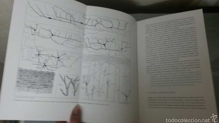 Libros de segunda mano: CAJAL LA ESPA&Ntilde;A UNIVERSAL ACCENTURE 2010 - Foto 10