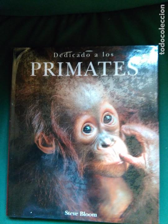 Libros de segunda mano: Dedicado a los primates.Steve Bloom. Konemann - Foto 1