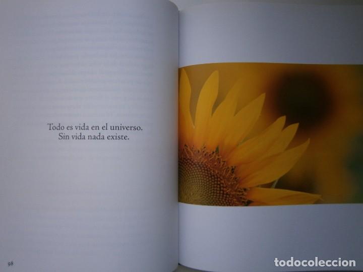 Libros de segunda mano: VICENTE FERRER EL PODER DE LA ACCION PLANETA 1 edicion 2012 CON DISCO CD EC TM - Foto 18