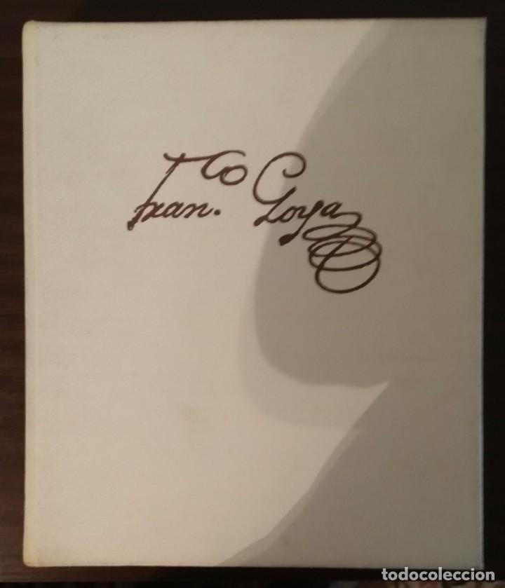 Libros de segunda mano: VIDA Y OBRA DE FRANCISCO GOYA - Foto 1