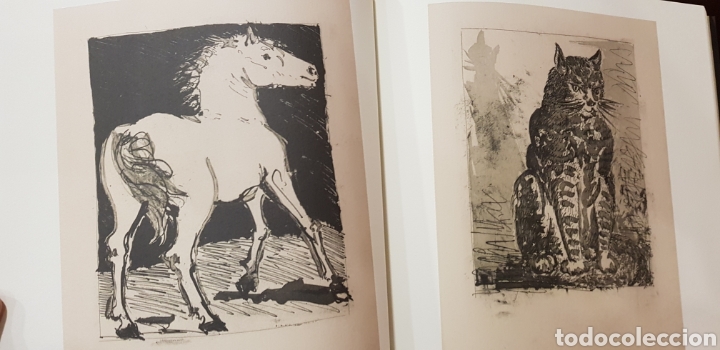 Libros de segunda mano: PICASSO Y LOS LIBROS. - Foto 9