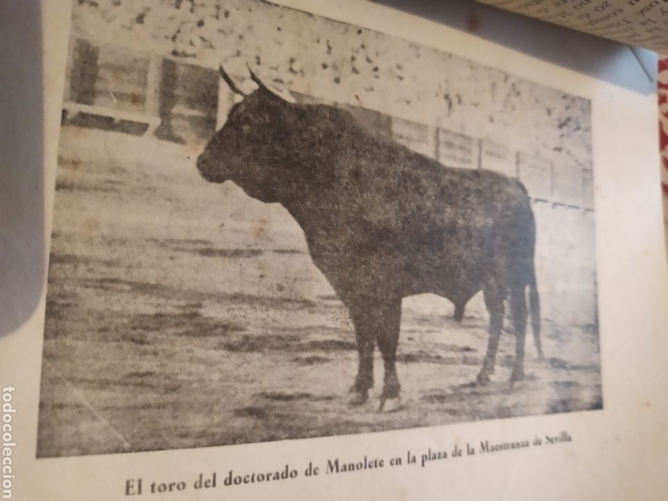 Libros de segunda mano: Gloria y tragedia de Manolete 1947 - Foto 6