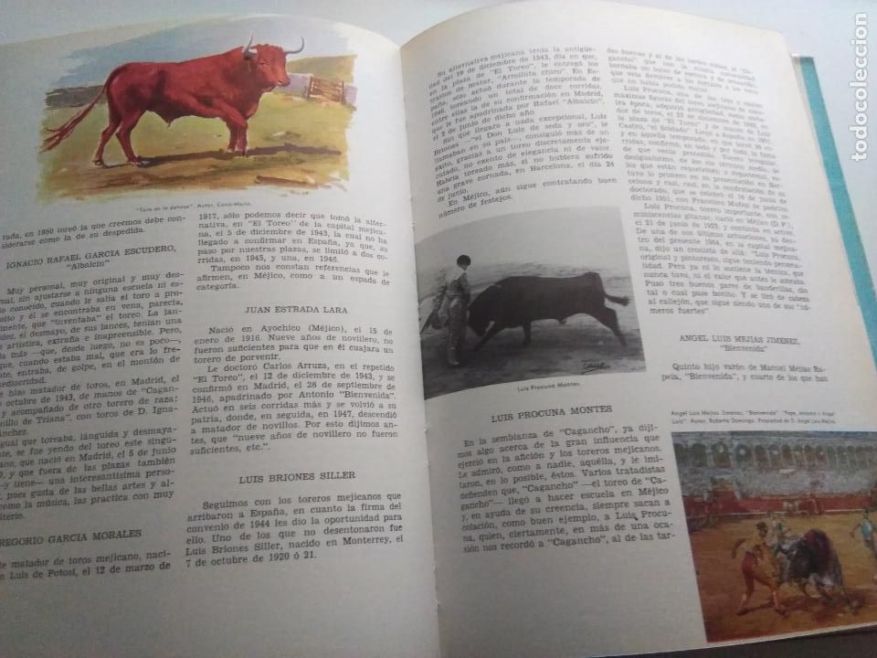 Libros de segunda mano: TOREROS 1726-1965 - Foto 6